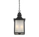 Savoy House - 5-256-13 - Three Light Hanging Lantern - Monte Grande - English Bronze
