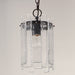 Warren Pendant-Mini Pendants-Maxim-Lighting Design Store