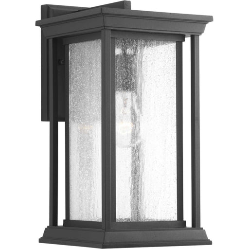 Endicott One Light Wall Lantern Black