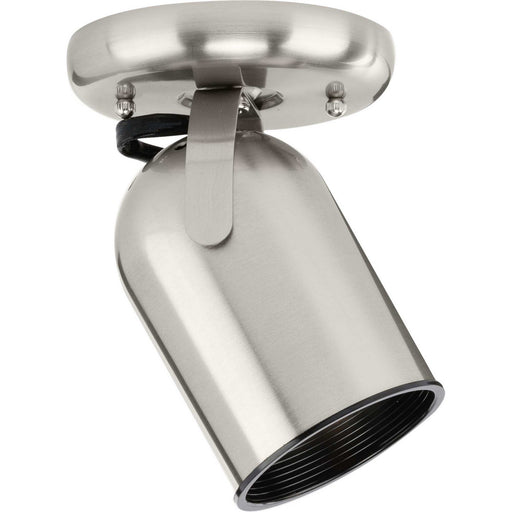 Directional One Light Wall/Ceiling Mount Brushed Nickel