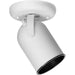 Progress Lighting - P6147-30 - One Light Wall/Ceiling Mount - Directional - White