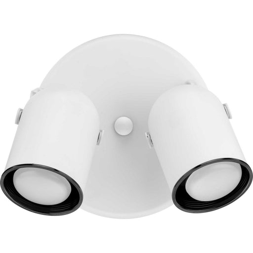 Directional Two Light Wall/Ceiling Mount White