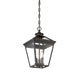 Savoy House - 5-146-13 - Three Light Hanging Lantern - Ellijay - English Bronze