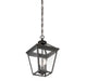 Savoy House - 5-146-13 - Three Light Hanging Lantern - Ellijay - English Bronze