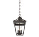 Savoy House - 5-146-13 - Three Light Hanging Lantern - Ellijay - English Bronze