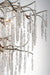 Willow 12 Light Chandelier-Large Chandeliers-Maxim-Lighting Design Store
