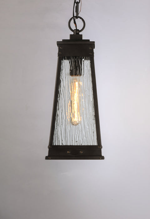 Schor Outdoor Pendant-Exterior-Maxim-Lighting Design Store
