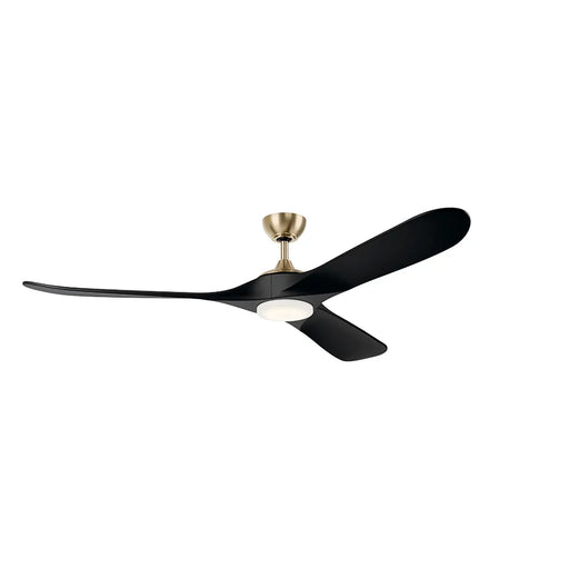 Modern ceiling fan with black blades and gold finish on a white background