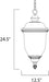 Carriage House DC Outdoor Hanging Lantern-Exterior-Maxim-Lighting Design Store
