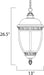 Knob Hill DC Outdoor Hanging Lantern-Exterior-Maxim-Lighting Design Store