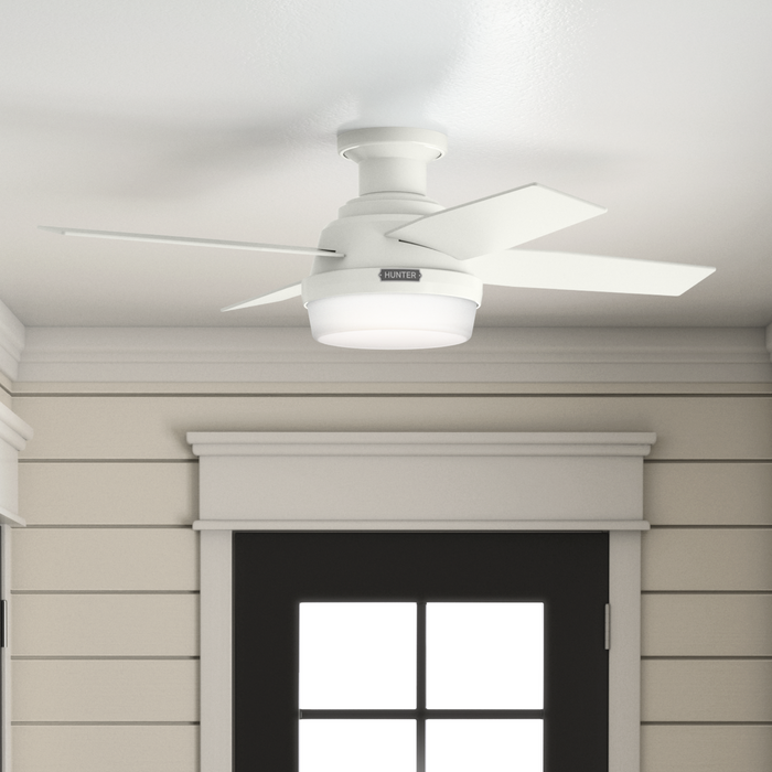 Dempsey 44" Ceiling Fan-Fans-Hunter-Lighting Design Store