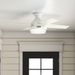 Dempsey 44" Ceiling Fan-Fans-Hunter-Lighting Design Store