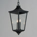 Sutton Place VX Outdoor Hanging Lantern-Exterior-Maxim-Lighting Design Store