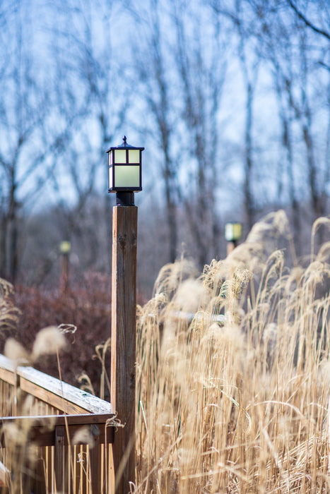 Coldwater Outdoor Pole/Post Lantern-Exterior-maxim-Lighting Design Store