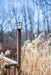 Coldwater Outdoor Pole/Post Lantern-Exterior-maxim-Lighting Design Store