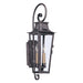 Troy Lighting - B2962-APW - Two Light Wall Lantern - Parisian Square - Aged Pewter