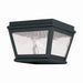 Livex Lighting - 2611-04 - Two Light Outdoor Ceiling Mount - Exeter - Black