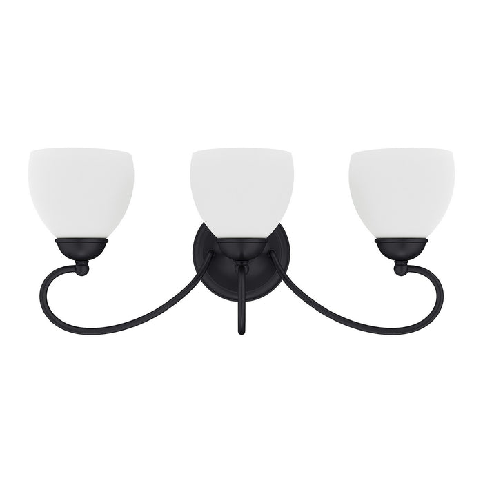 Livex Lighting - 4753-04 - Three Light Bath Vanity - Brookside - Black