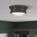 Livex Lighting - 7341-07 - Two Light Ceiling Mount - Astor - Bronze