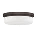 Livex Lighting - 7393-07 - Three Light Wall Sconce/Ceiling Mount - Stratus - Bronze