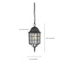 Nuvo Lighting - 60-4913 - One Light Hanging Lantern - Adams - Textured Black