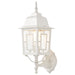 Nuvo Lighting - 60-4924 - One Light Wall Lantern - Banyan - White