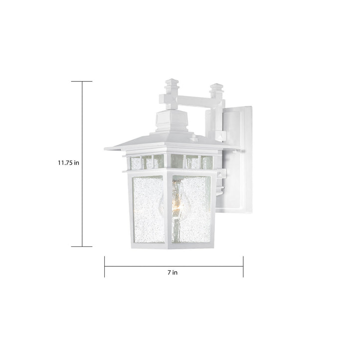 Nuvo Lighting - 60-4951 - One Light Wall Lantern - Cove Neck - White