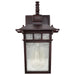 Nuvo Lighting - 60-4952 - One Light Wall Lantern - Cove Neck - Rustic Bronze