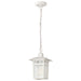 Nuvo Lighting - 60-4954 - One Light Hanging Lantern - Cove Neck - White