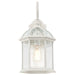 Nuvo Lighting - 60-4964 - One Light Wall Lantern - Boxwood - White
