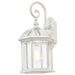 Nuvo Lighting - 60-4964 - One Light Wall Lantern - Boxwood - White