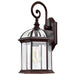 Nuvo Lighting - 60-4965 - One Light Wall Lantern - Boxwood - Rustic Bronze