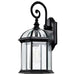 Nuvo Lighting - 60-4966 - One Light Wall Lantern - Boxwood - Textured Black
