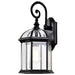 Nuvo Lighting - 60-4966 - One Light Wall Lantern - Boxwood - Textured Black