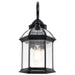 Nuvo Lighting - 60-4966 - One Light Wall Lantern - Boxwood - Textured Black