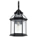 Nuvo Lighting - 60-4966 - One Light Wall Lantern - Boxwood - Textured Black