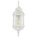 Nuvo Lighting - 60-4971 - One Light Wall Lantern - Boxwood - White