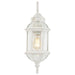 Nuvo Lighting - 60-4971 - One Light Wall Lantern - Boxwood - White