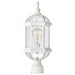 Nuvo Lighting - 60-4974 - One Light Post Lantern - Boxwood - White