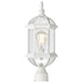 Nuvo Lighting - 60-4974 - One Light Post Lantern - Boxwood - White