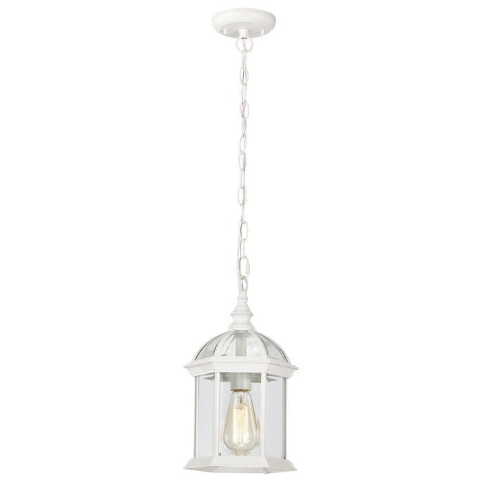 Nuvo Lighting - 60-4977 - One Light Hanging Lantern - Boxwood - White