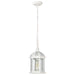 Nuvo Lighting - 60-4977 - One Light Hanging Lantern - Boxwood - White