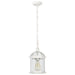 Nuvo Lighting - 60-4977 - One Light Hanging Lantern - Boxwood - White