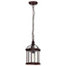 Nuvo Lighting - 60-4978 - One Light Hanging Lantern - Boxwood - Rustic Bronze