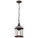 Nuvo Lighting - 60-4978 - One Light Hanging Lantern - Boxwood - Rustic Bronze