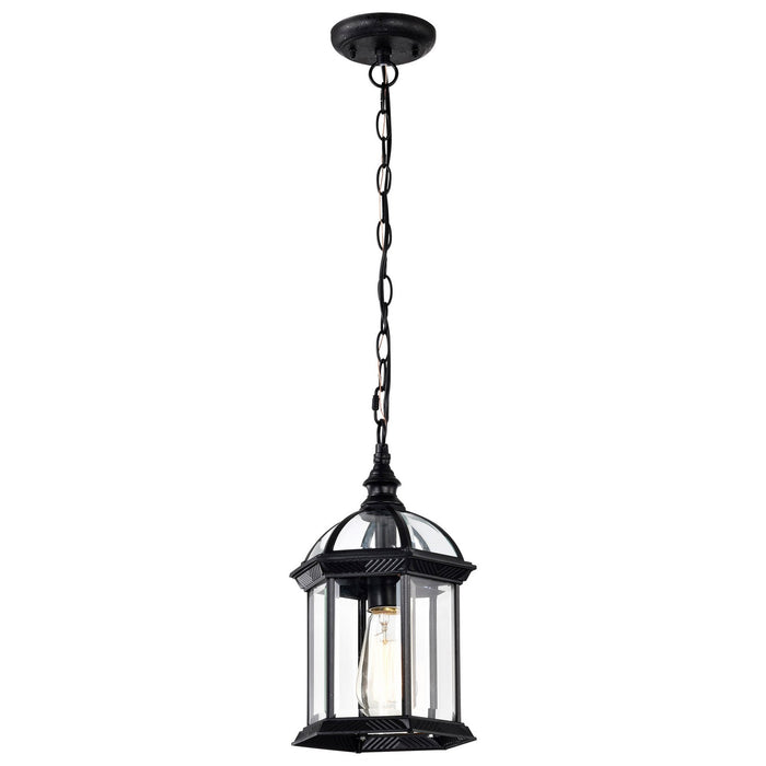 Nuvo Lighting - 60-4979 - One Light Hanging Lantern - Boxwood - Textured Black