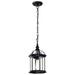 Nuvo Lighting - 60-4979 - One Light Hanging Lantern - Boxwood - Textured Black