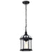 Nuvo Lighting - 60-4979 - One Light Hanging Lantern - Boxwood - Textured Black