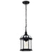Nuvo Lighting - 60-4979 - One Light Hanging Lantern - Boxwood - Textured Black