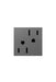 Legrand - ARTR202M4 - Tamper-Resistant Outlet - Adorne - Magnesium